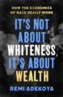 Image for It&#39;s not about whiteness, it&#39;s about wealth  : how the economics of race really work