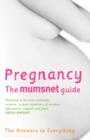 Image for Pregnancy: the Mumsnet guide
