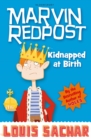 Image for Kidnapped at birth