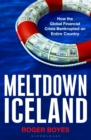 Image for Meltdown Iceland: how the global financial crisis bankrupted an entire country