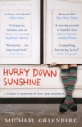 Image for Hurry down sunshine: a father&#39;s memoir of love and madness