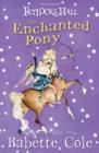 Image for The enchanted pony