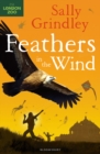 Image for Feathers in the Wind