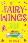 Image for Fairy wings