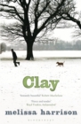 Image for Clay