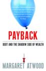 Image for Payback: debt as metaphor and the shadow side of wealth