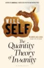 Image for The quantity theory of insanity
