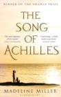 Image for The song of Achilles