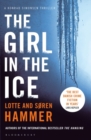 Image for The girl in the ice