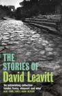 Image for The stories of David Leavitt.