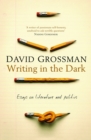 Image for Writing in the dark