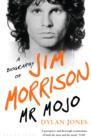 Image for Mr Mojo: a biography of Jim Morrison