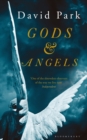 Image for Gods and angels