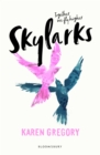 Image for Skylarks