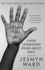 Image for The fire this time: a new generation speaks about race
