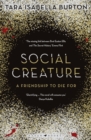 Image for Social creature