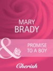 Image for Promise to a Boy : 21