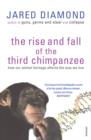 Image for The rise and fall of the third chimpanzee