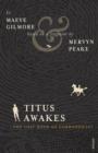 Image for Titus awakes: the lost book of Gormenghast : based on a fragment by Mervyn Peake