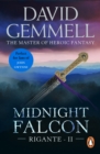 Image for Midnight falcon