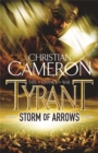 Image for Storm of arrows