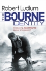 Image for The Bourne identity