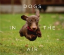 Image for Dogs in the air