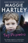 Image for Tiny prisoners  : two siblings trapped in a world of abuse, one woman determined to free them.