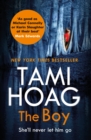 Image for The boy