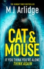 Image for Cat and mouse