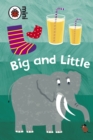 Image for Early Learning: Big and Little