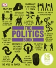Image for The politics book.