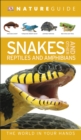 Image for Snakes and other reptiles and amphibians