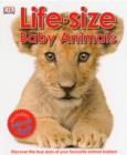 Image for Life-Size Baby Animals