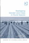 Image for Reshaping gender and class in rural spaces