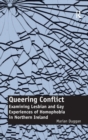 Image for Queering conflict  : examining lesbian and gay experiences of homophobia in Northern Ireland