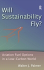 Image for Will sustainability fly?  : aviation fuel options in a low-carbon world