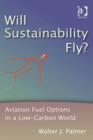 Image for Will sustainability fly?: aviation fuel options in a low-carbon world