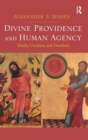 Image for Divine Providence and Human Agency