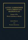 Image for Aztec Goddesses and Christian Madonnas