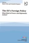 Image for The EU&#39;s foreign policy: what kind of power and diplomatic action?