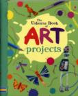 Image for The Usborne Book of Art Projects Mini Spiral Bound
