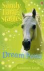Image for Dream Pony