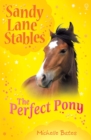Image for Perfect Pony