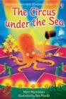 Image for The Circus under the Sea