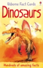 Image for Hundreds of Dinosaur Facts Cards