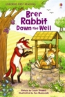 Image for BRER RABBIT DOWN THE WELL