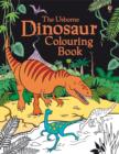 Image for Dinosaur Colouring Book