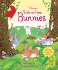 Image for Usborne hide-and-seek bunnies