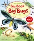 Image for The Usborne big book of big bugs  : and a few little ones too--